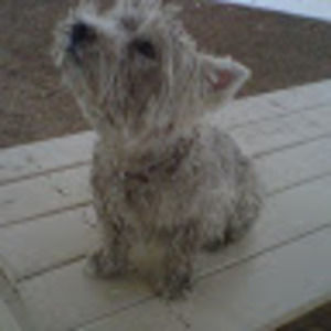 Meet your Posher, Rhett